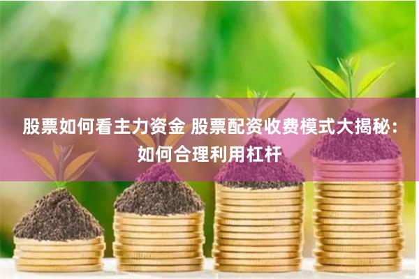 股票如何看主力资金 股票配资收费模式大揭秘：如何合理利用杠杆