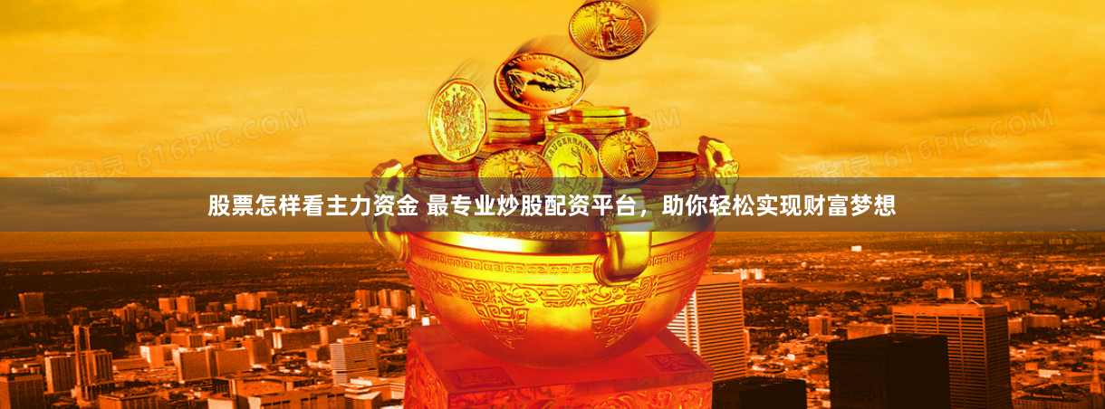 股票怎样看主力资金 最专业炒股配资平台，助你轻松实现财富梦想