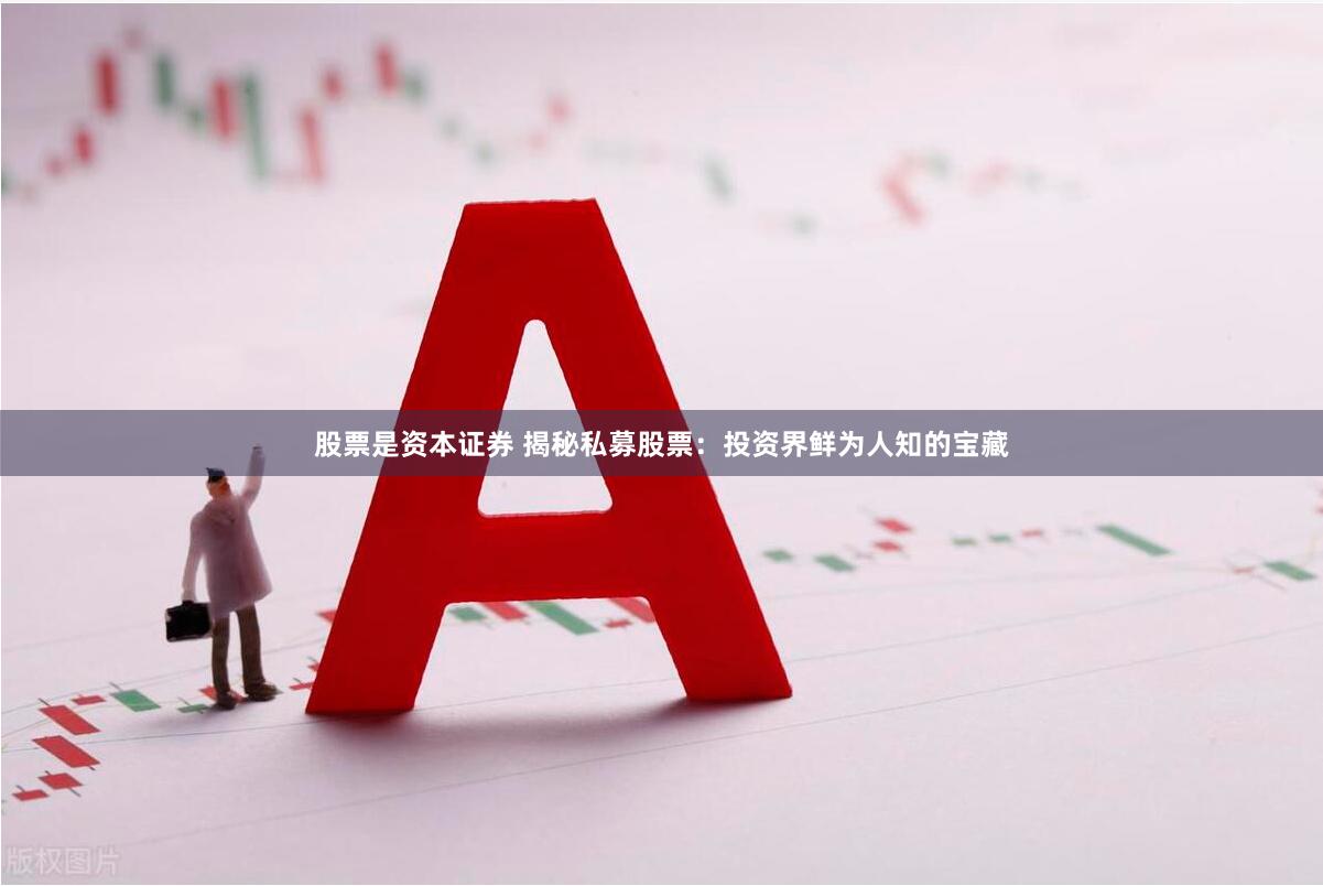 股票是资本证券 揭秘私募股票：投资界鲜为人知的宝藏