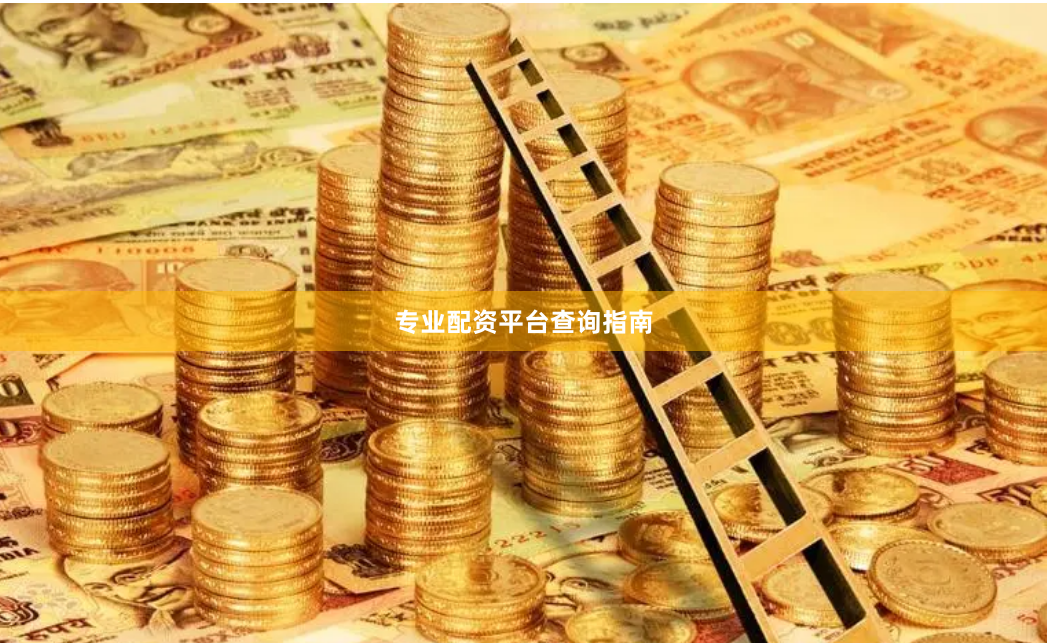 专业配资平台查询指南